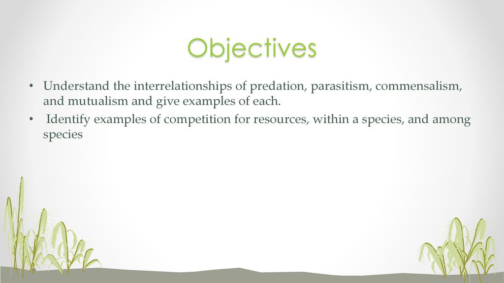 Objectives Understand the interrelationships of predation, parasitism, commensalism, and mutualism and give examples of each.