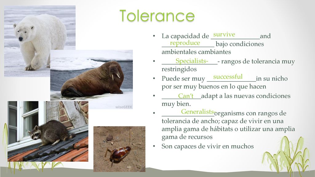 Tolerance survive. La capacidad de _______________and ________________ bajo condiciones ambientales cambiantes.