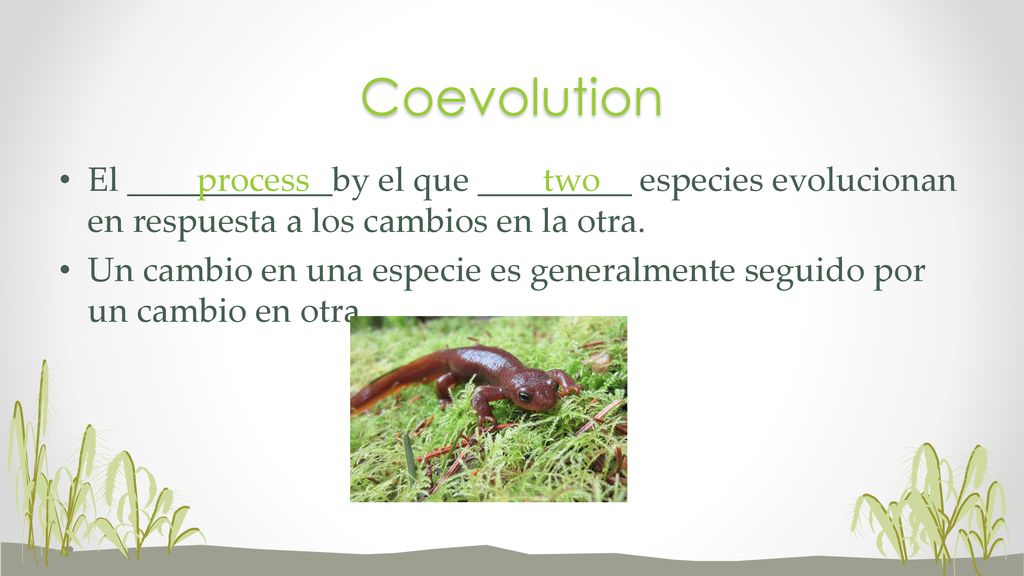 Coevolution El ____________by el que _________ especies evolucionan en respuesta a los cambios en la otra.