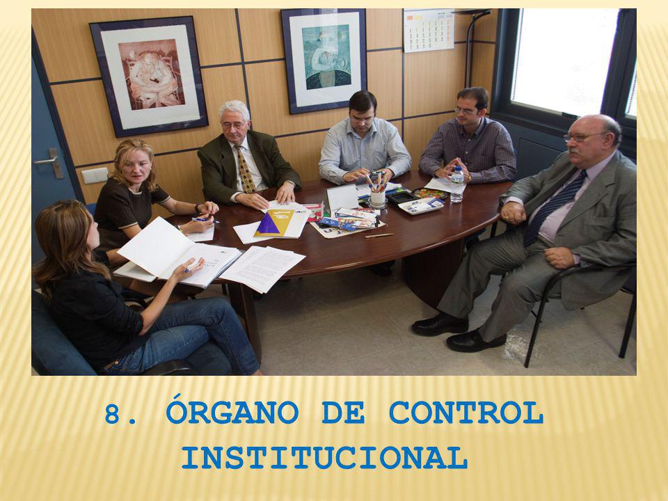 8. ÓRGANO DE CONTROL INSTITUCIONAL