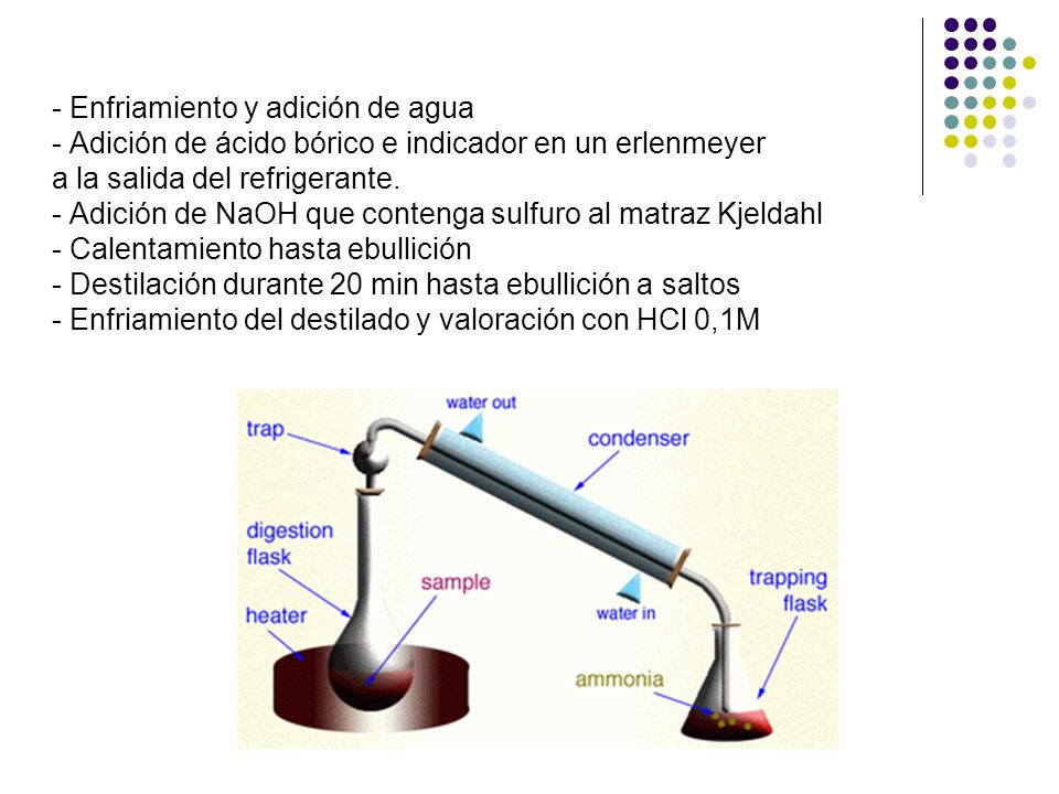 - Enfriamiento y adición de agua - Adición de ácido bórico e indicador en un erlenmeyer a la salida del refrigerante.