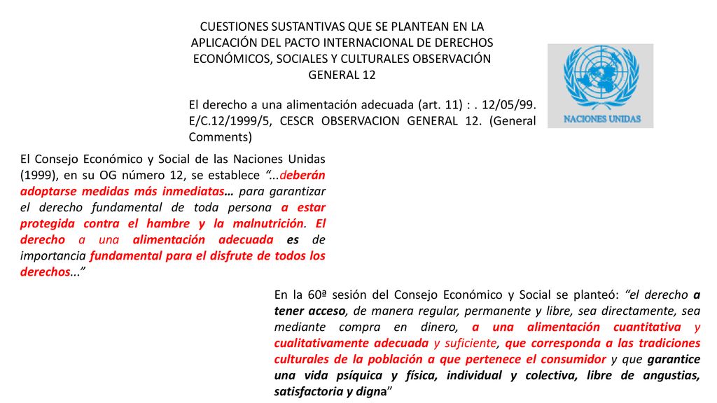 CUESTIONES SUSTANTIVAS QUE SE PLANTEAN EN LA APLICACIÓN DEL PACTO INTERNACIONAL DE DERECHOS ECONÓMICOS, SOCIALES Y CULTURALES OBSERVACIÓN GENERAL 12