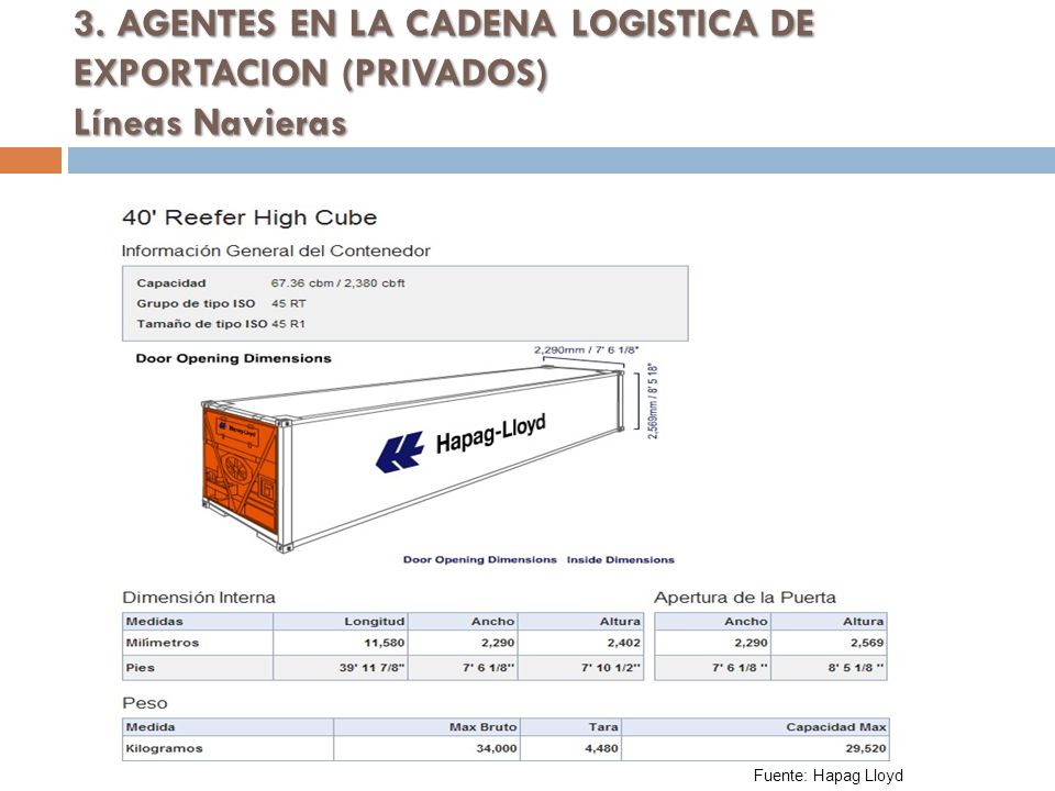 01/04/ AGENTES EN LA CADENA LOGISTICA DE EXPORTACION (PRIVADOS) Líneas Navieras.
