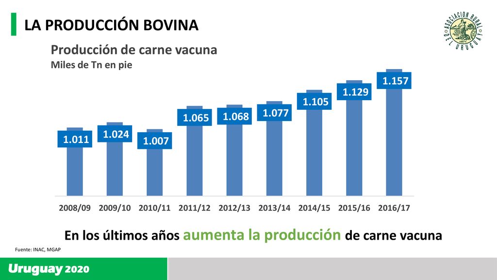 En los últimos años aumenta la producción de carne vacuna