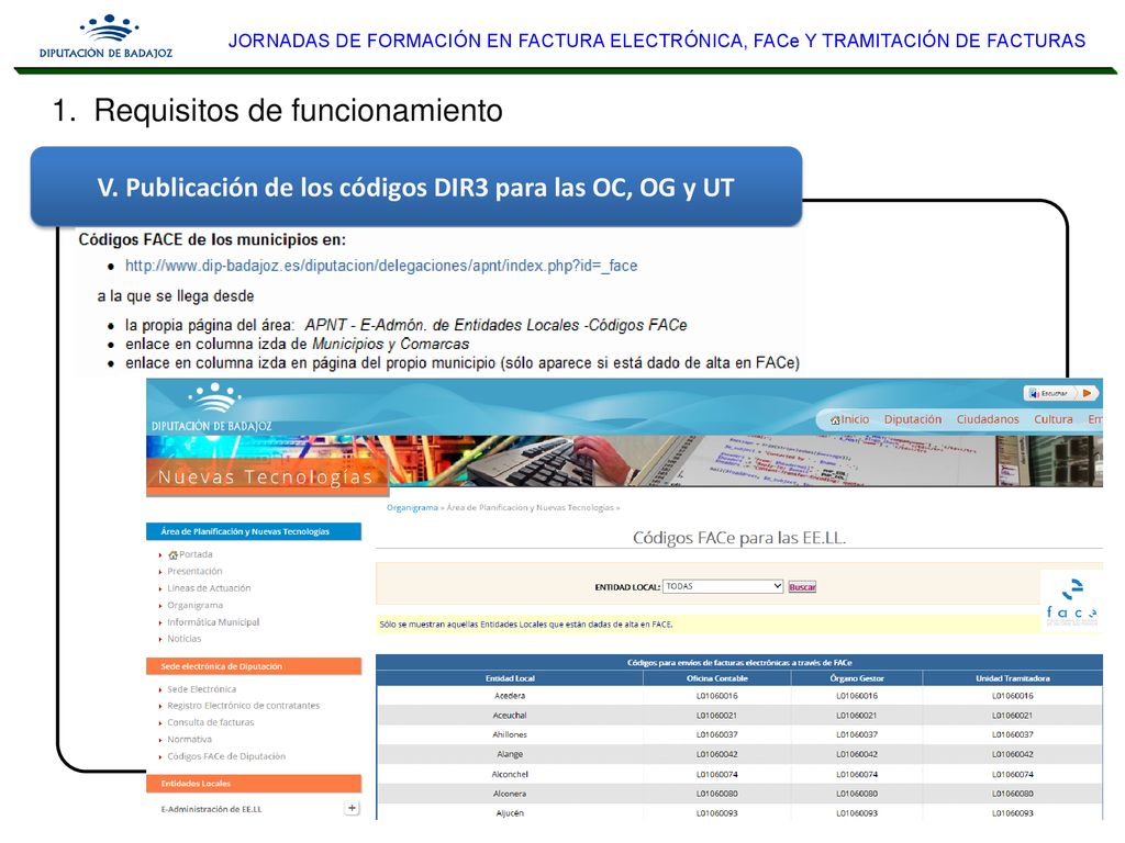 V. Publicación de los códigos DIR3 para las OC, OG y UT