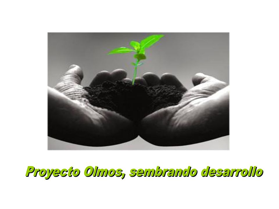 Proyecto Olmos, sembrando desarrollo