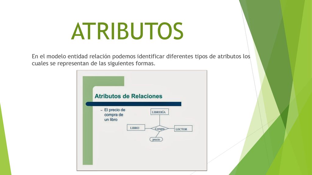 ATRIBUTOS En el modelo entidad relación podemos identificar diferentes tipos de atributos los cuales se representan de las siguientes formas.