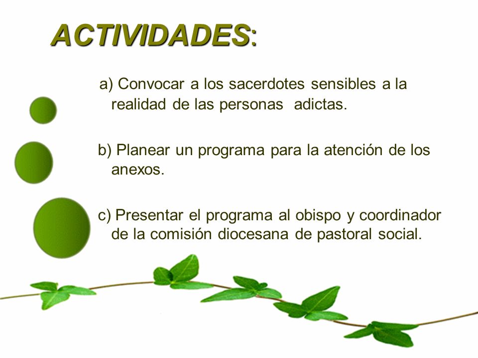 ACTIVIDADES: a) Convocar a los sacerdotes sensibles a la realidad de las personas adictas. b) Planear un programa para la atención de los anexos.