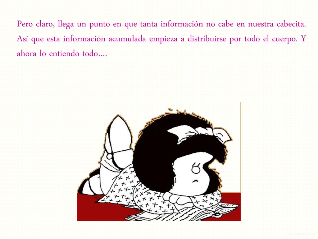 Pero claro, llega un punto en que tanta información no cabe en nuestra cabecita.