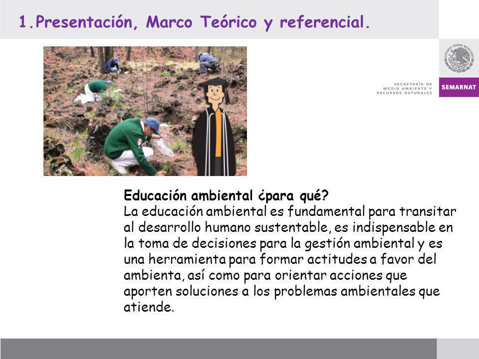 Presentación, Marco Teórico y referencial.