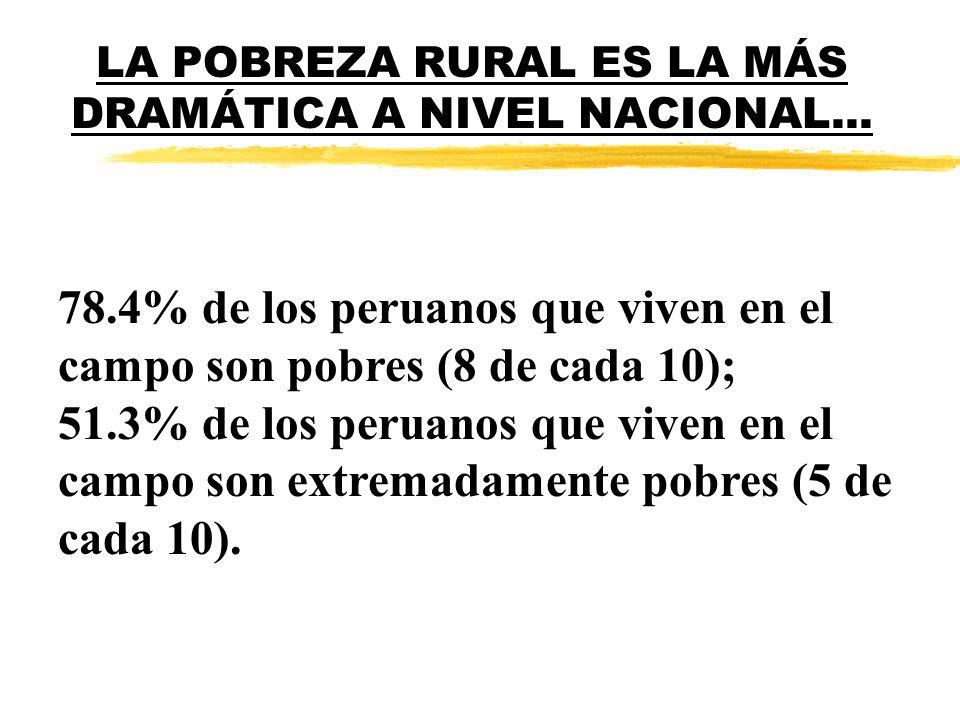 LA POBREZA RURAL ES LA MÁS DRAMÁTICA A NIVEL NACIONAL...