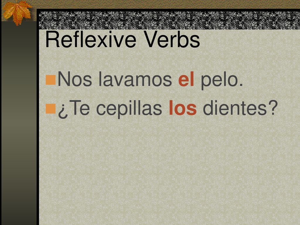 Reflexive Verbs Nos lavamos el pelo. ¿Te cepillas los dientes