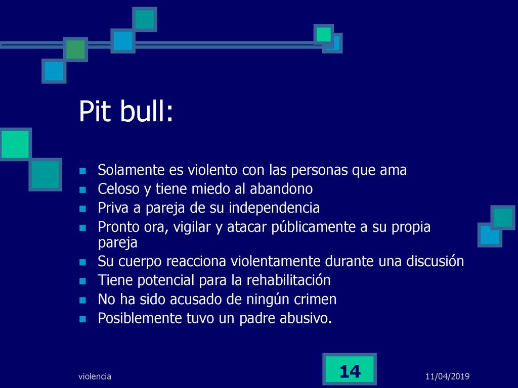 Pit bull: Solamente es violento con las personas que ama