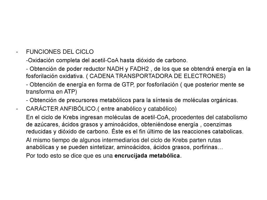 FUNCIONES DEL CICLO -Oxidación completa del acetil-CoA hasta dióxido de carbono.