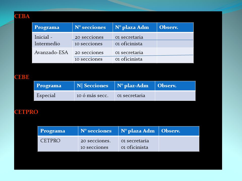 CEBA CEBE CETPRO Programa N° secciones N° plaza Adm Observ.