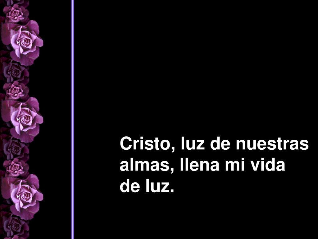 Cristo, luz de nuestras almas, llena mi vida de luz.