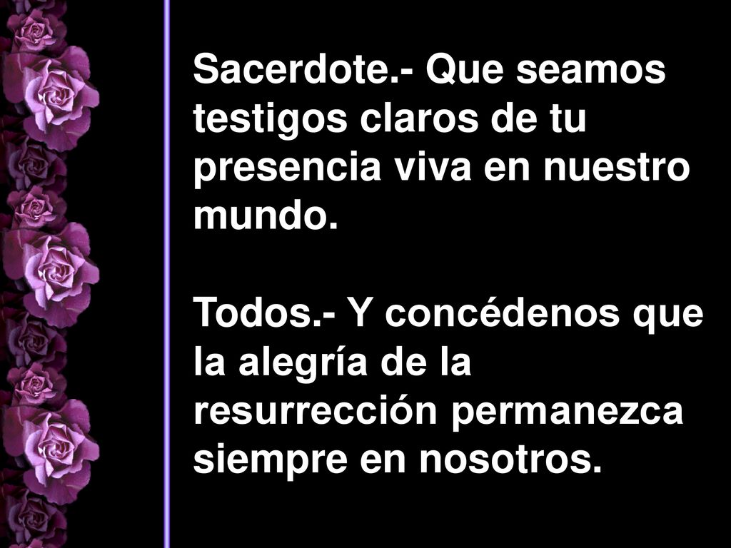 Sacerdote.- Que seamos testigos claros de tu presencia viva en nuestro mundo.