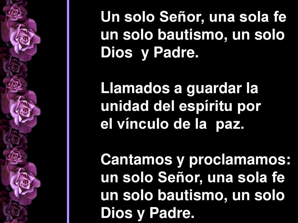 Un solo Señor, una sola fe un solo bautismo, un solo