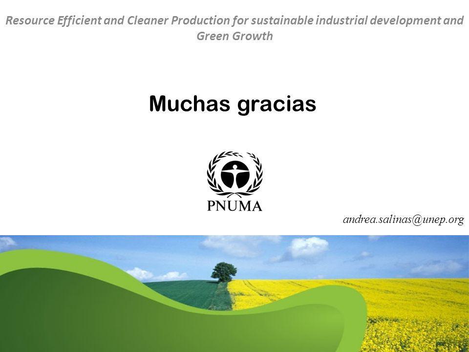 Resource Efficient and Cleaner Production for sustainable industrial development and Green Growth
