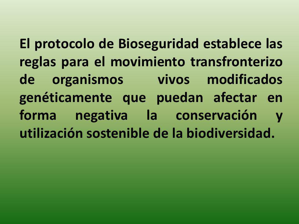 El protocolo de Bioseguridad establece las reglas para el movimiento transfronterizo de organismos vivos modificados genéticamente que puedan afectar en forma negativa la conservación y utilización sostenible de la biodiversidad.