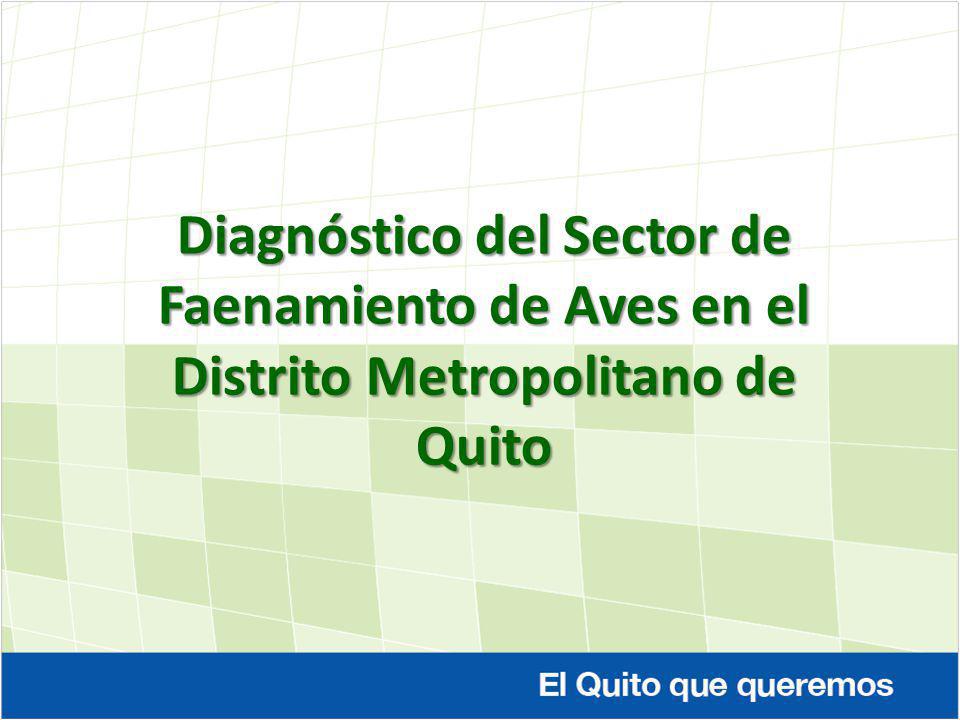 Diagnóstico del Sector de Faenamiento de Aves en el Distrito Metropolitano de Quito