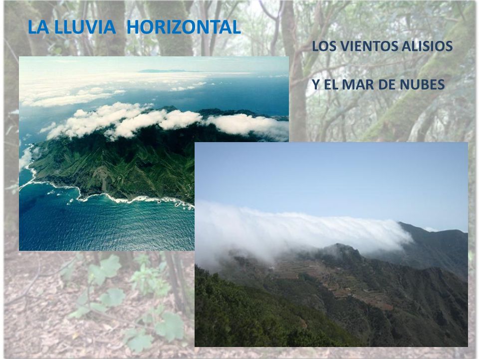 LA LLUVIA HORIZONTAL LOS VIENTOS ALISIOS Y EL MAR DE NUBES
