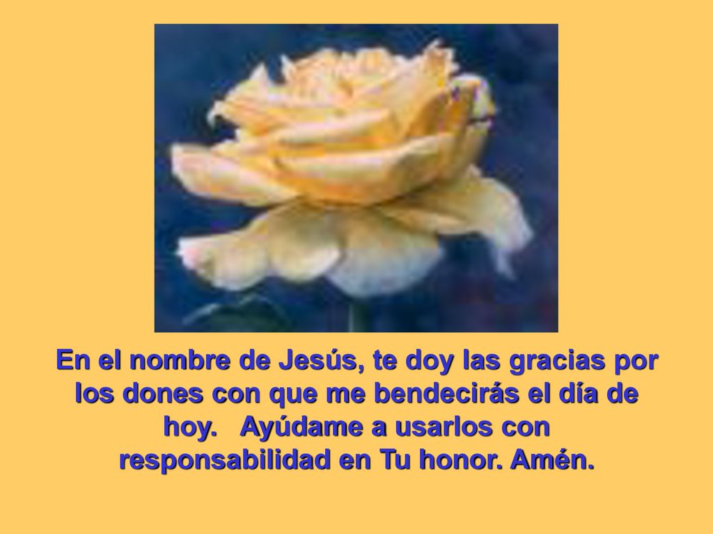 En el nombre de Jesús, te doy las gracias por los dones con que me bendecirás el día de hoy.