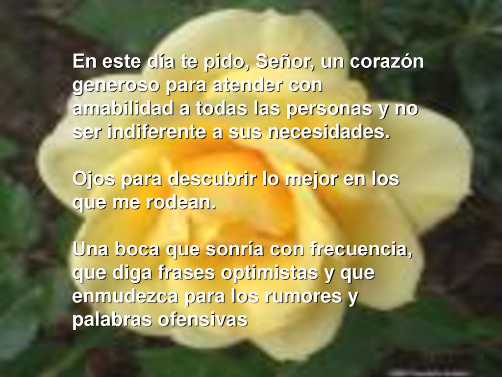 En este día te pido, Señor, un corazón generoso para atender con amabilidad a todas las personas y no ser indiferente a sus necesidades.