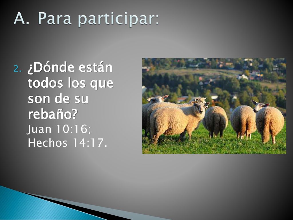 Para participar: ¿Dónde están todos los que son de su rebaño.