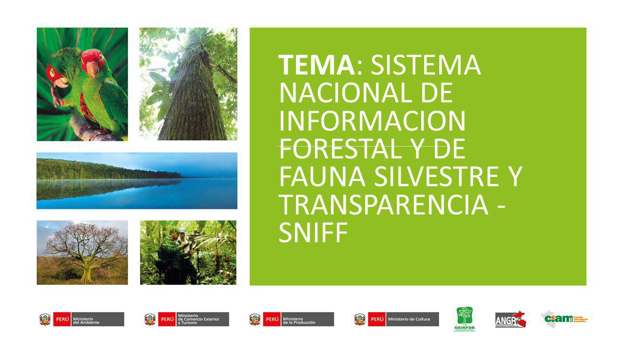 TEMA: SISTEMA NACIONAL DE INFORMACION FORESTAL Y DE FAUNA SILVESTRE Y TRANSPARENCIA - SNIFF