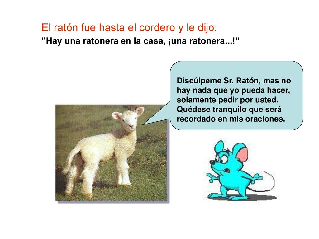 El ratón fue hasta el cordero y le dijo: