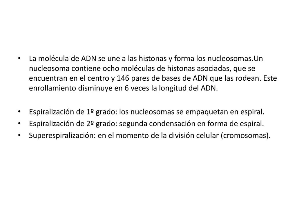 La molécula de ADN se une a las histonas y forma los nucleosomas