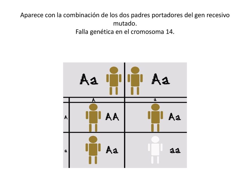 Aparece con la combinación de los dos padres portadores del gen recesivo mutado.