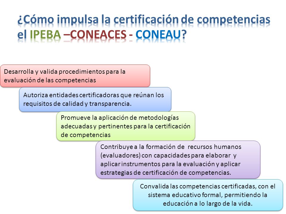 ¿Cómo impulsa la certificación de competencias el IPEBA –CONEACES - CONEAU