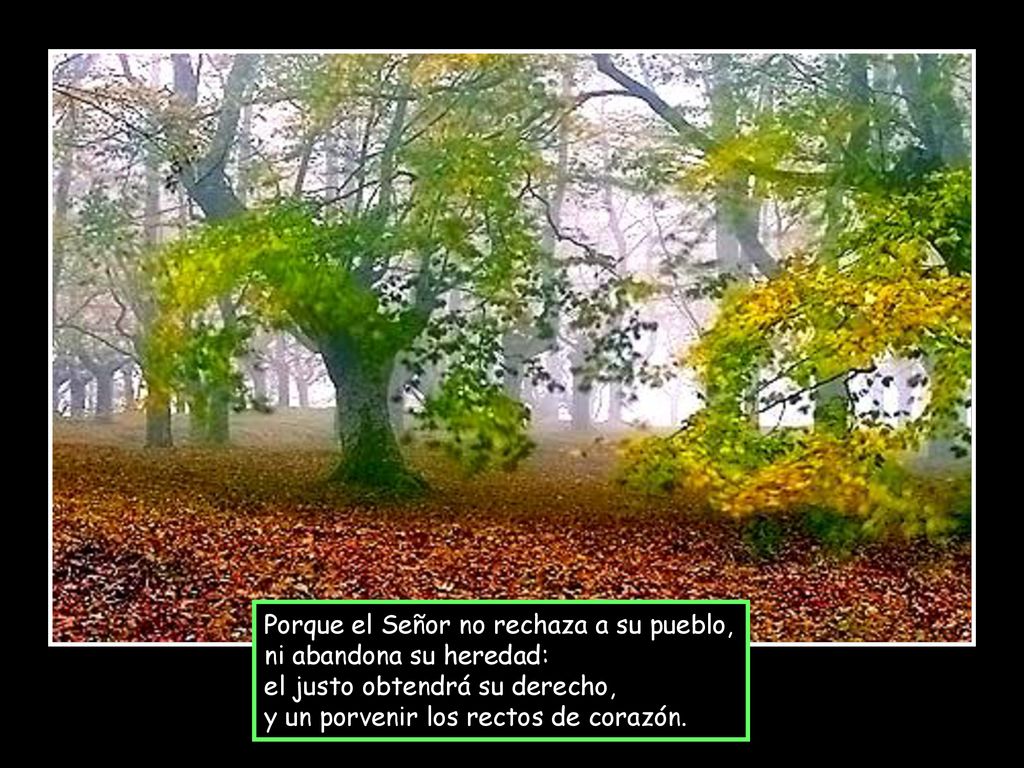 Porque el Señor no rechaza a su pueblo,