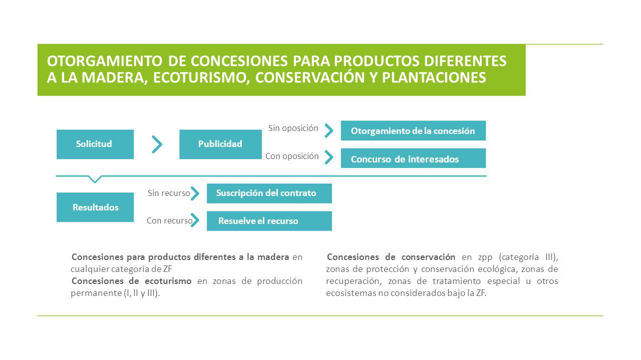 OTORGAMIENTO DE CONCESIONES PARA PRODUCTOS DIFERENTES A LA MADERA, ECOTURISMO, CONSERVACIÓN Y PLANTACIONES