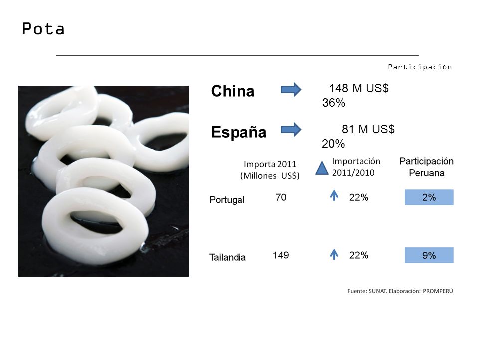 Pota congelada Participación China 148 M US$ 36% España 81 M US$ 20%