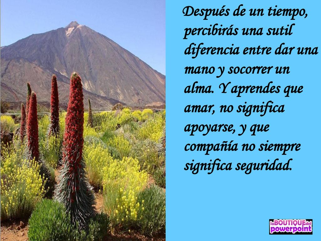 Después de un tiempo, percibirás una sutil diferencia entre dar una mano y socorrer un alma.