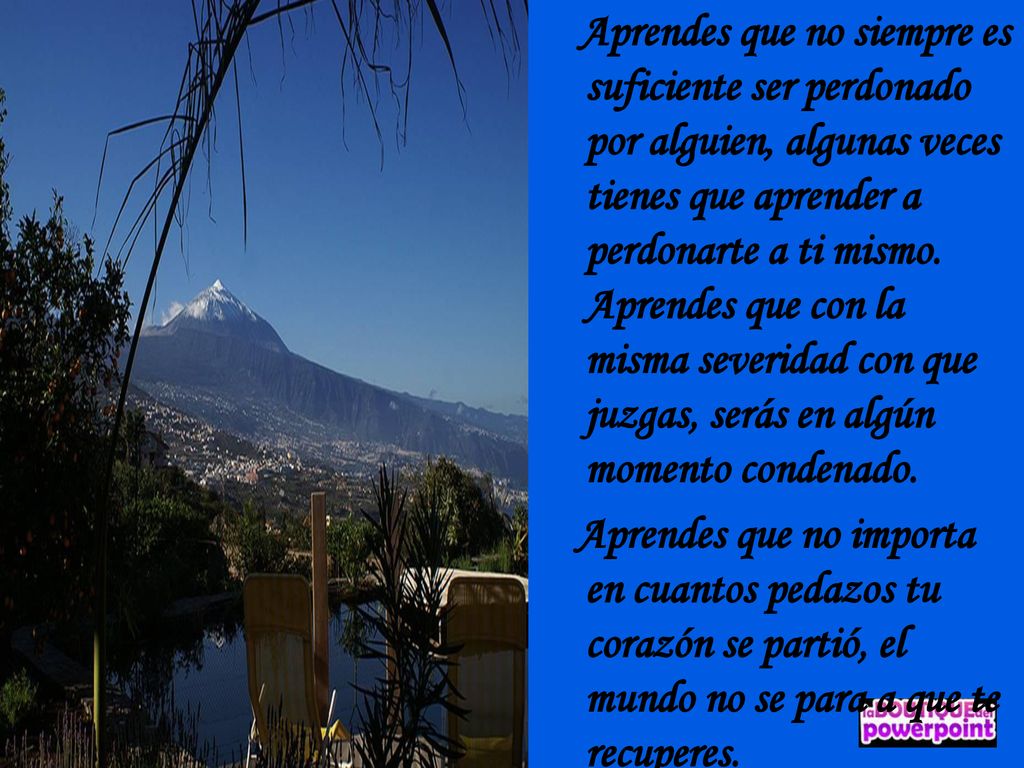 Aprendes que no siempre es suficiente ser perdonado por alguien, algunas veces tienes que aprender a perdonarte a ti mismo. Aprendes que con la misma severidad con que juzgas, serás en algún momento condenado.