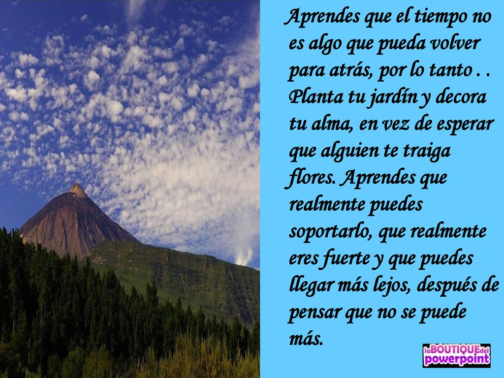Aprendes que el tiempo no es algo que pueda volver para atrás, por lo tanto .