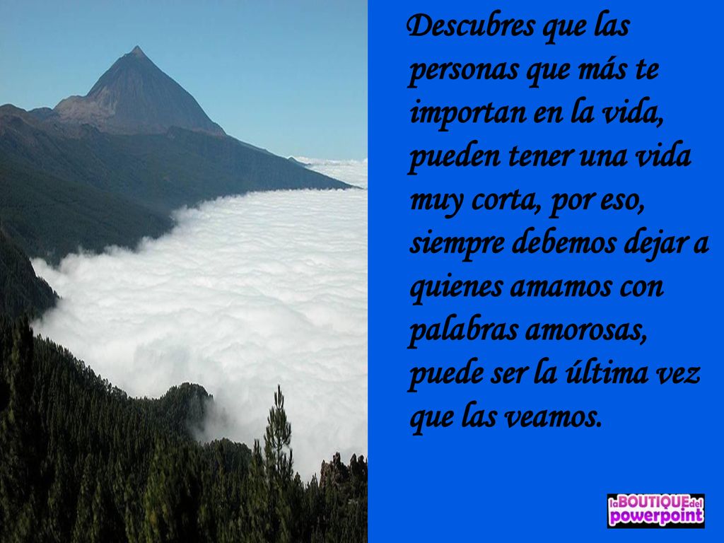 Descubres que las personas que más te importan en la vida, pueden tener una vida muy corta, por eso, siempre debemos dejar a quienes amamos con palabras amorosas, puede ser la última vez que las veamos.