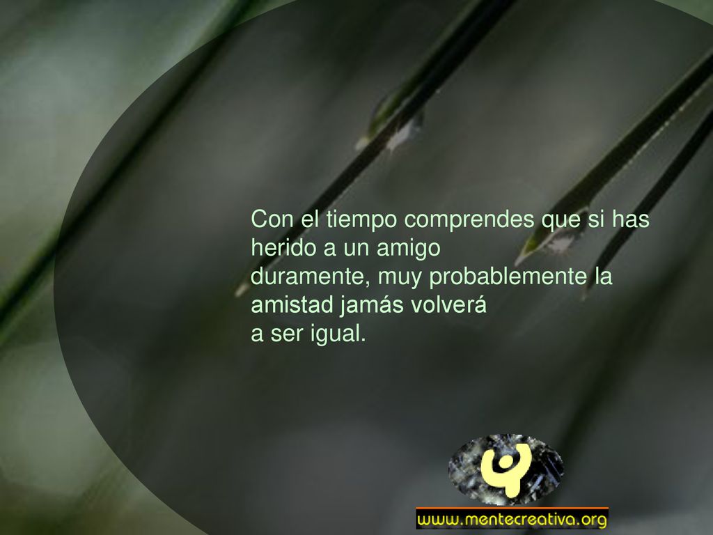 Con el tiempo comprendes que si has herido a un amigo duramente, muy probablemente la amistad jamás volverá a ser igual.