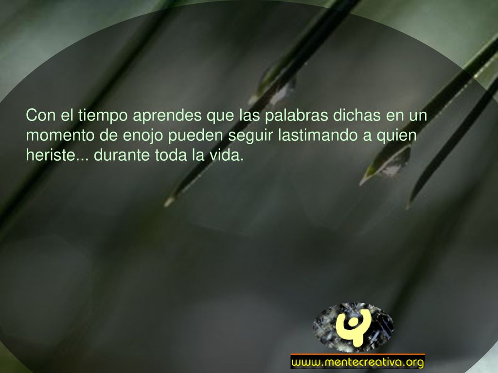 Con el tiempo aprendes que las palabras dichas en un momento de enojo pueden seguir lastimando a quien heriste...