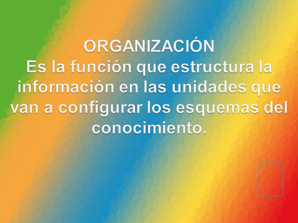 ORGANIZACIÓN Es la función que estructura la información en las unidades que van a configurar los esquemas del conocimiento.
