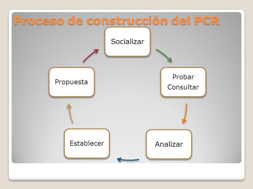 Proceso de construcción del PCR
