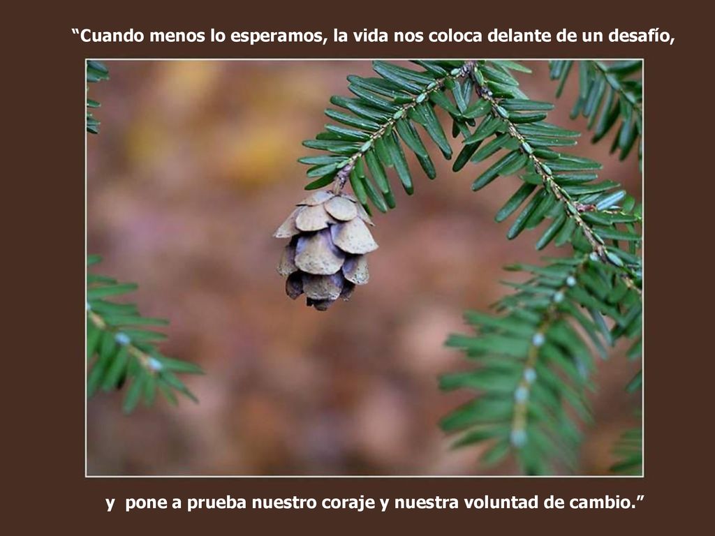 Cuando menos lo esperamos, la vida nos coloca delante de un desafío,
