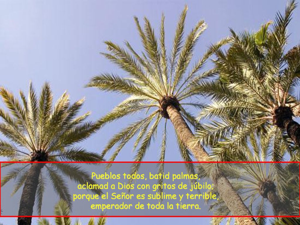 Pueblos todos, batid palmas, aclamad a Dios con gritos de júbilo; porque el Señor es sublime y terrible, emperador de toda la tierra.