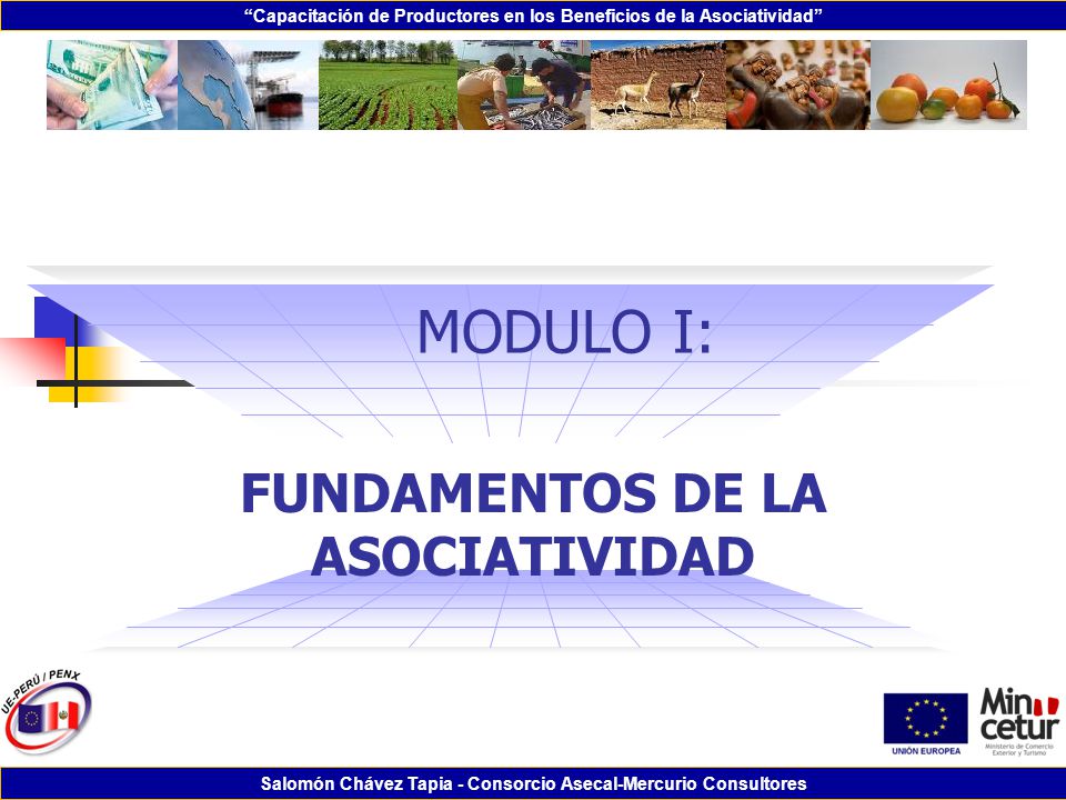 FUNDAMENTOS DE LA ASOCIATIVIDAD