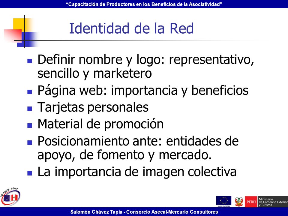 Identidad de la Red Definir nombre y logo: representativo, sencillo y marketero. Página web: importancia y beneficios.