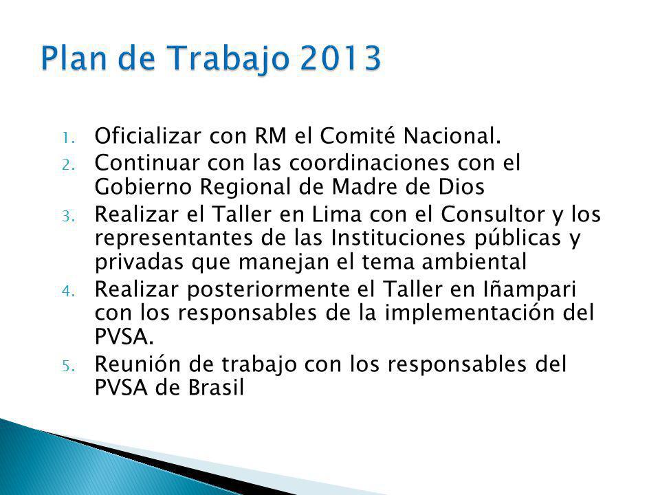Plan de Trabajo 2013 Oficializar con RM el Comité Nacional.